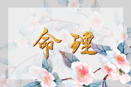 万年历老黄历 黄道吉日万年历 带农历与黄历的万年历